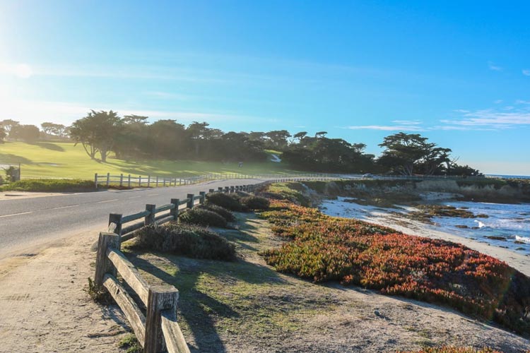 Two lane road next to the ocean with a rustic picked fends, flowering shrubs, and trees
